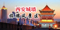 操骚货逼中国陕西-西安城墙旅游风景区